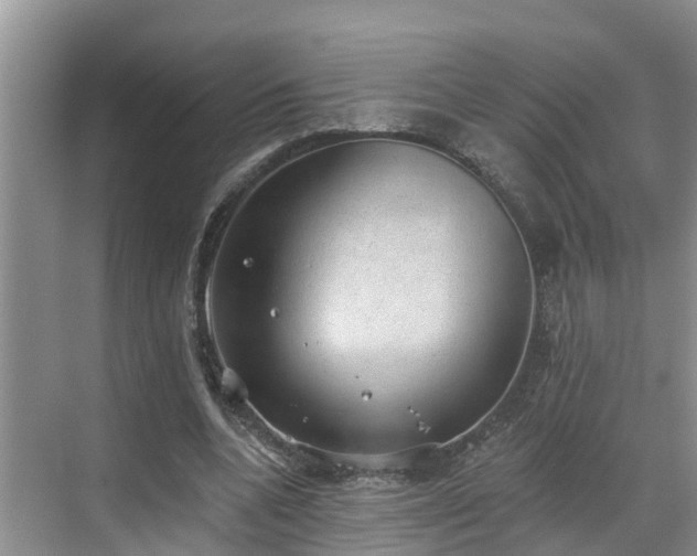 X0000068840536200605081242