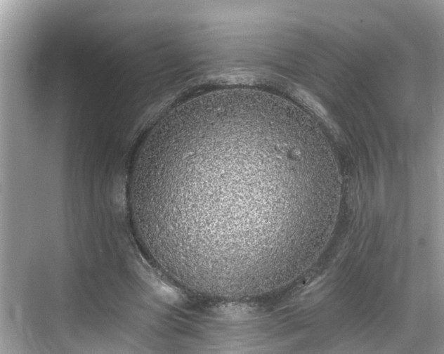 X0000068840537200605081242