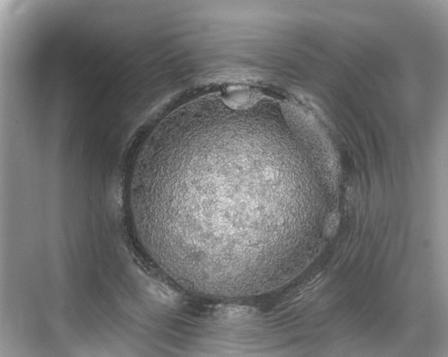 X0000068840539200605081242