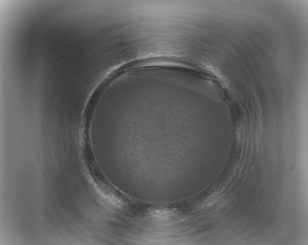 X0000068840540200605081242