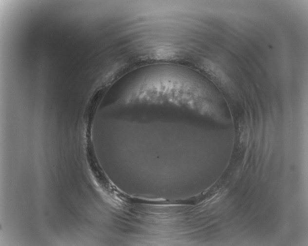 X0000068840542200605081242