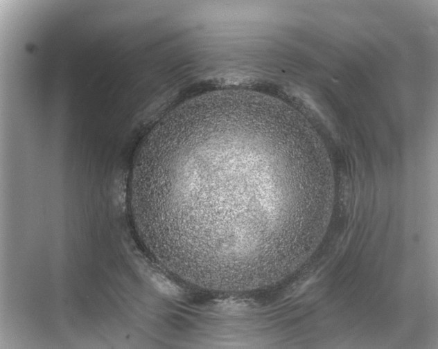 X0000068840545200605081242