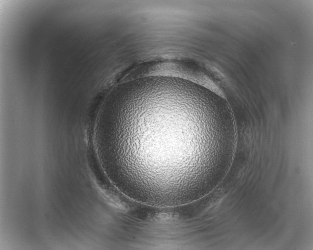 X0000068840546200605081242