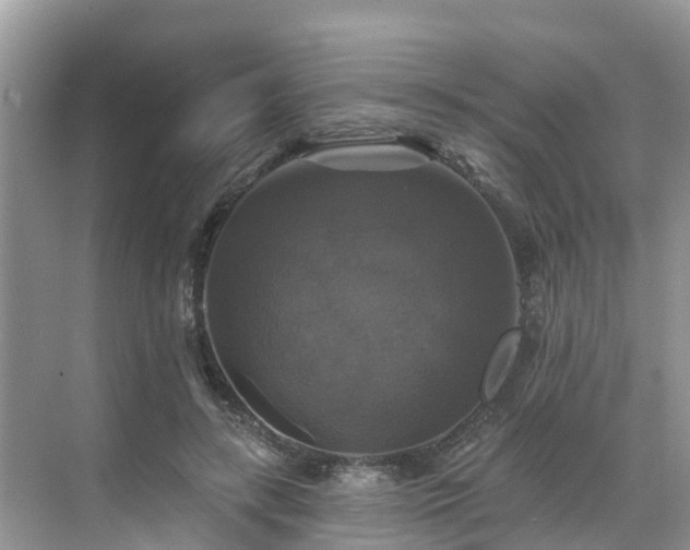 X0000068840547200605081242