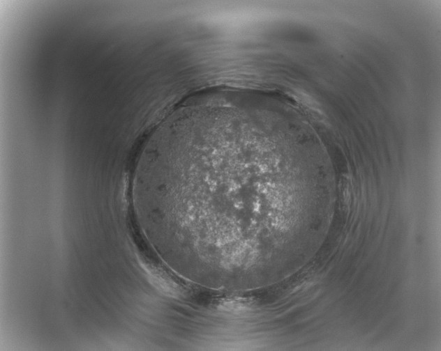 X0000068840550200605081242