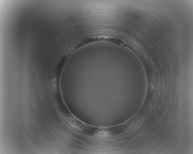 X0000068840551200605081242