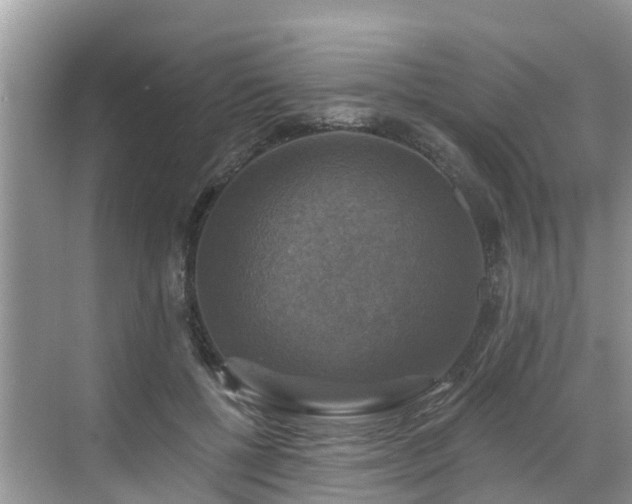 X0000068840552200605081242