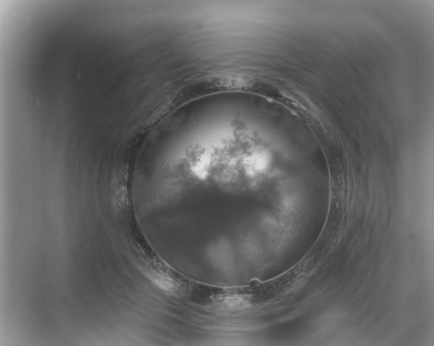 X0000068840553200605081242