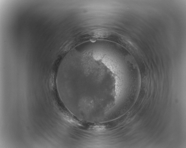 X0000068840554200605081242