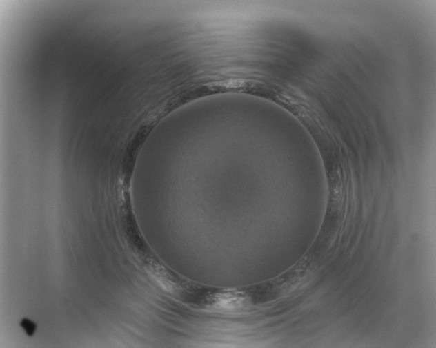 X0000068840555200605081242