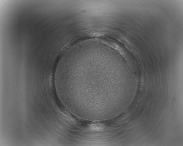 X0000068840556200605081242