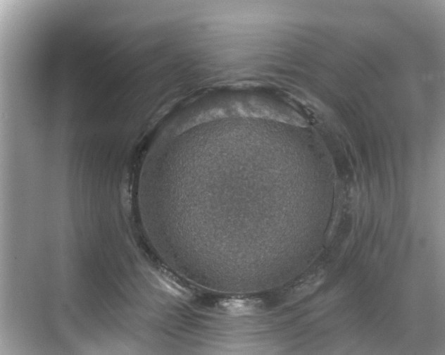 X0000068840558200605081242