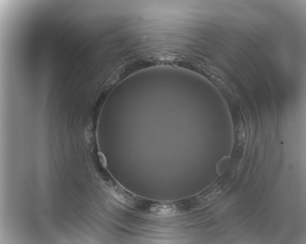 X0000068840559200605081242