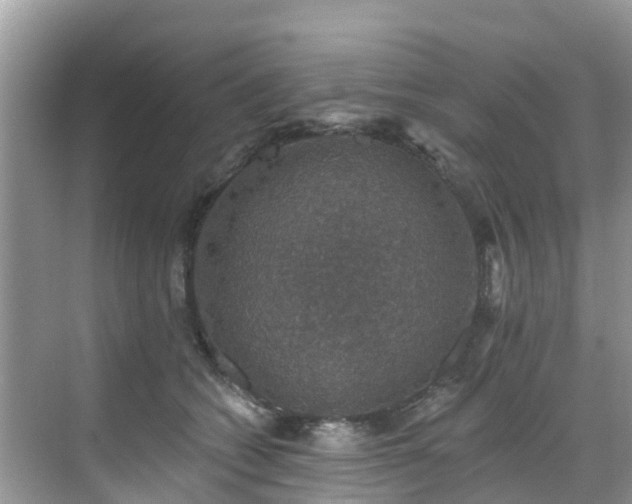 X0000068840562200605081242