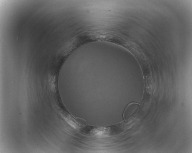 X0000068840563200605081242