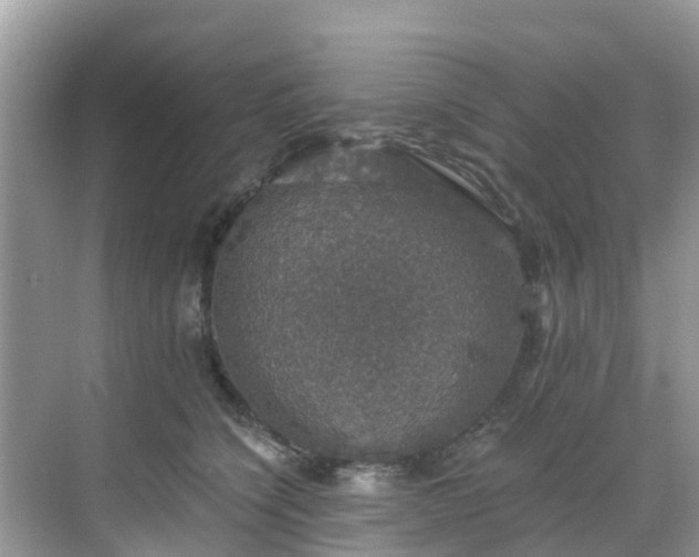 X0000068840564200605081242