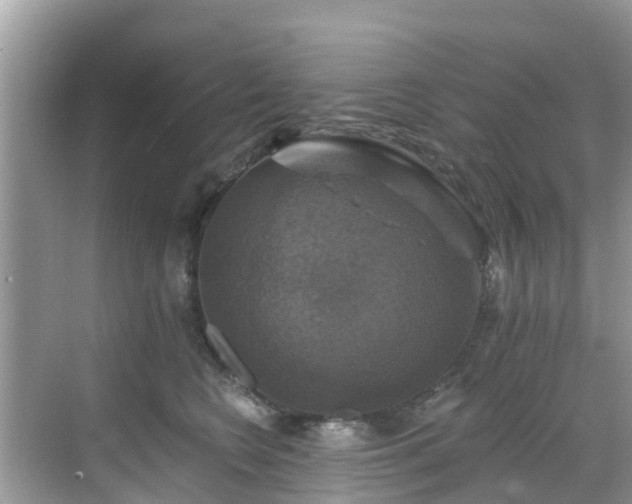 X0000068840566200605081242