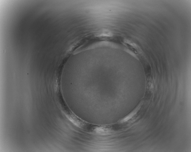 X0000068840568200605081242