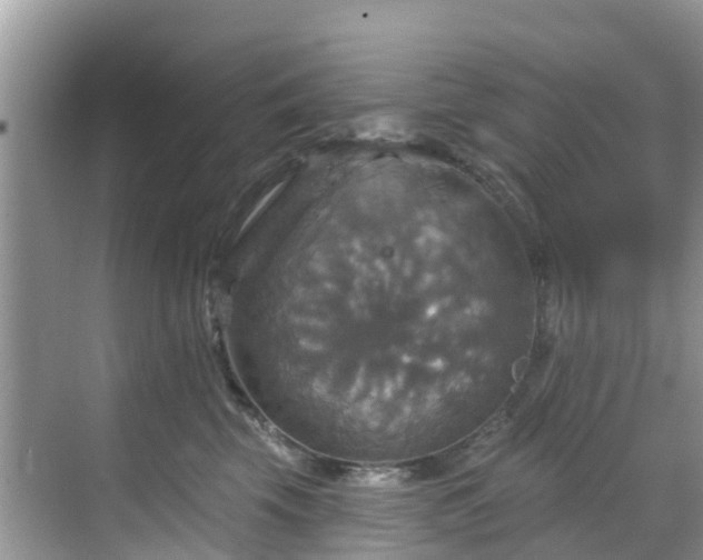 X0000068840569200605081242