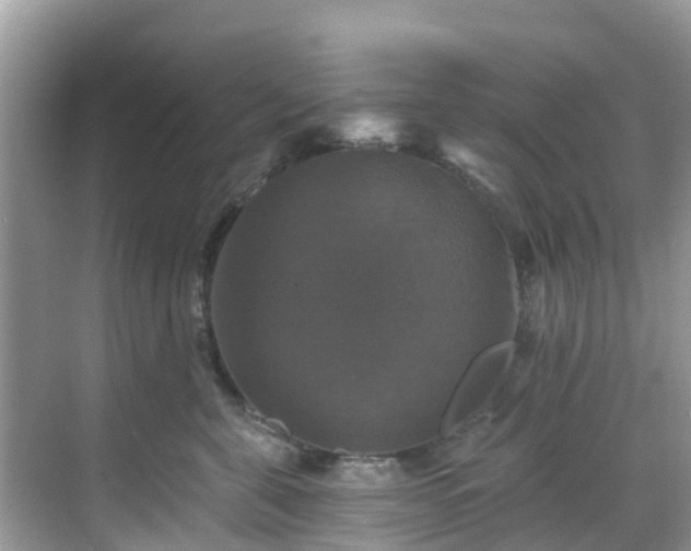 X0000068840571200605081242