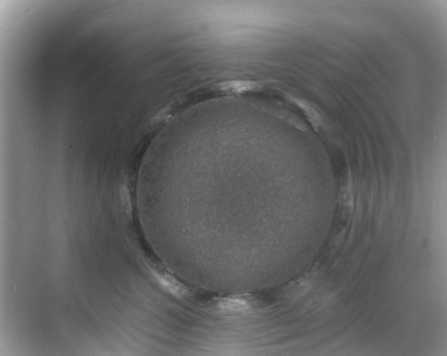 X0000068840572200605081242