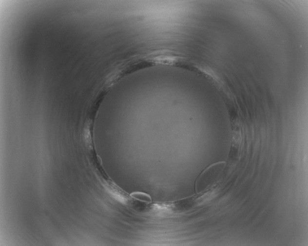 X0000068840573200605081242