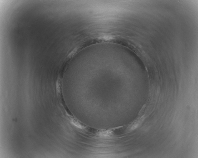 X0000068840576200605081242