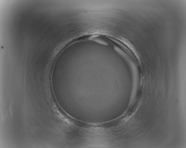 X0000068840577200605081241