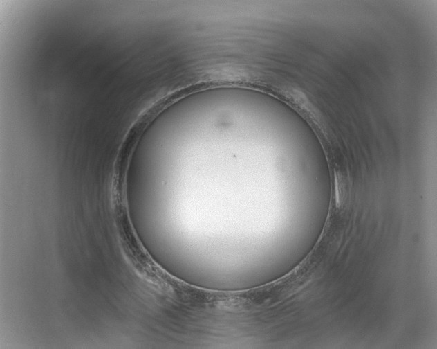 X0000068840579200605081241