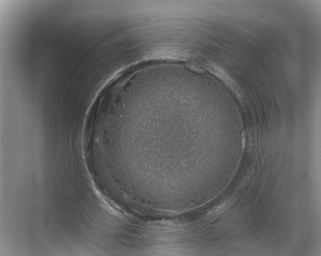 X0000068840580200605081241