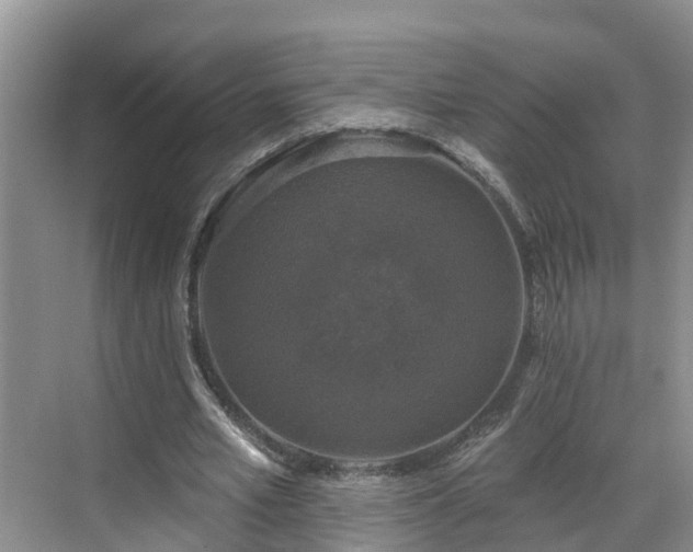 X0000068840581200605081241