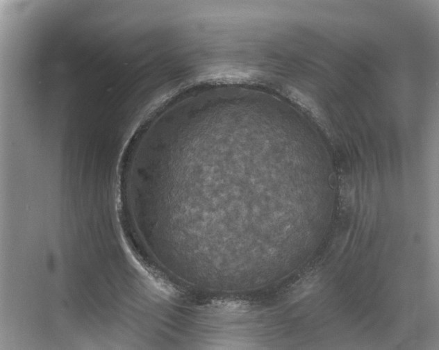 X0000068840582200605081241