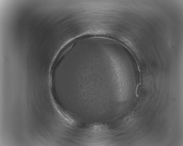 X0000068840584200605081241