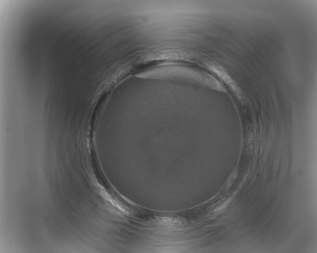 X0000068840585200605081241