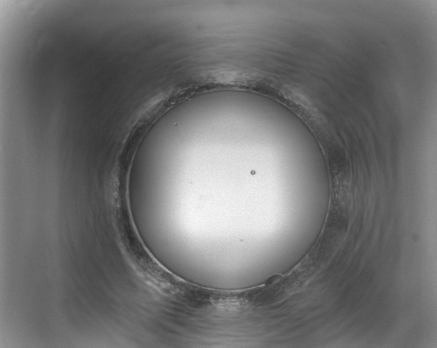 X0000068840587200605081241