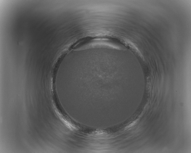 X0000068840589200605081241