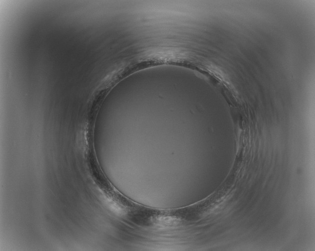 X0000068840590200605081241