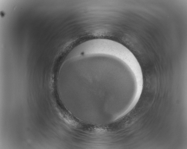 X0000068840592200605081241