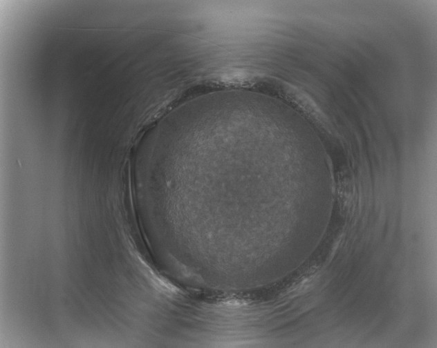 X0000068840593200605081241