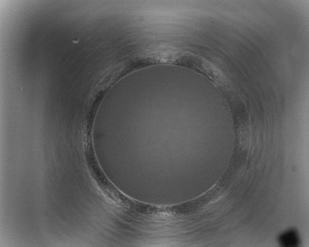 X0000068840594200605081241