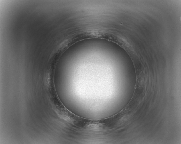 X0000068840595200605081241