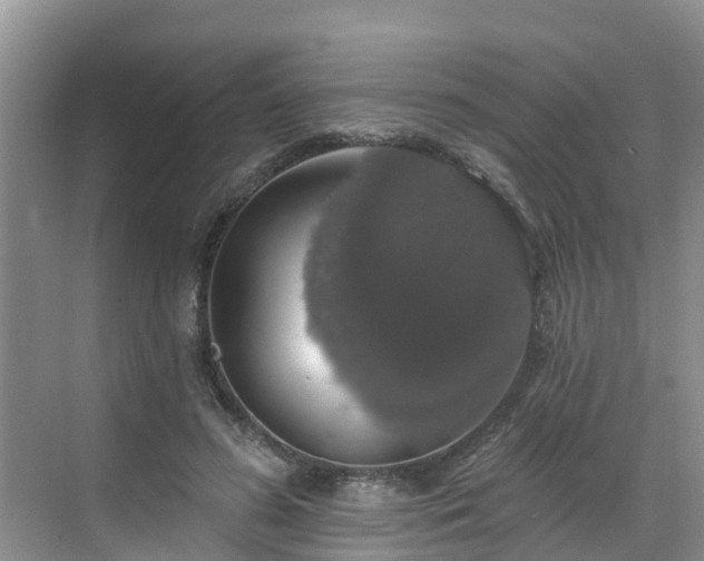 X0000068840596200605081241