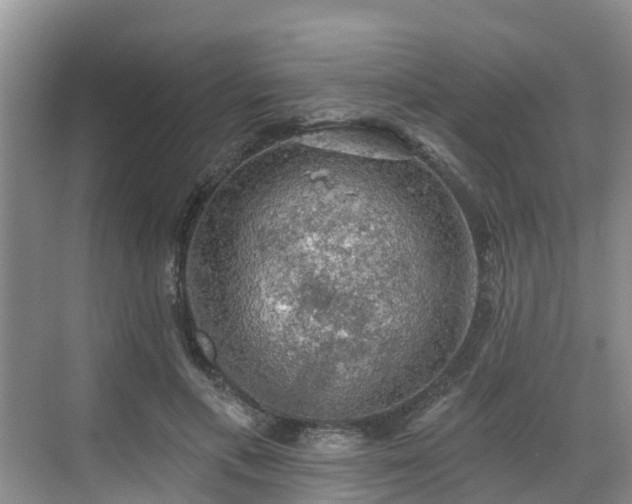 X0000068840597200605081241