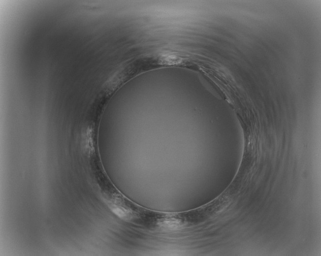 X0000068840598200605081241