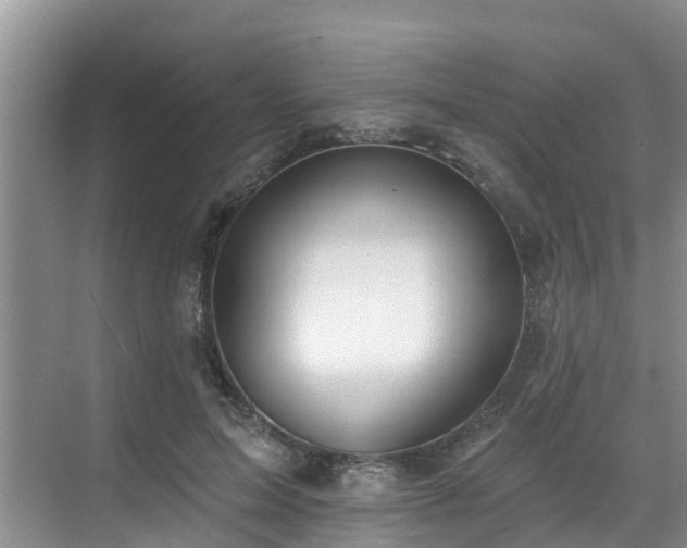 X0000068840599200605081241