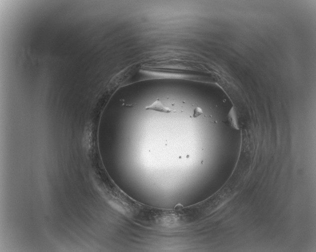 X0000068840600200605081241