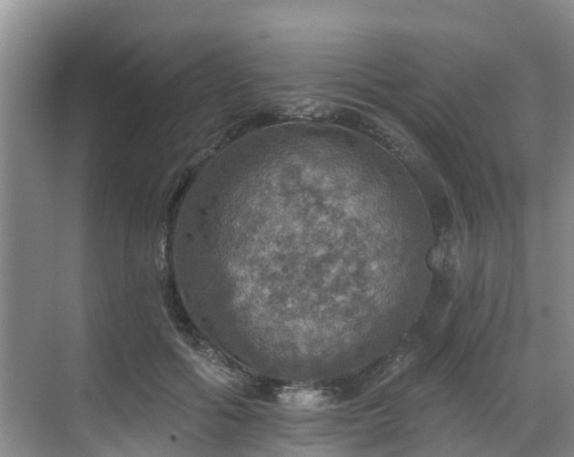 X0000068840602200605081241