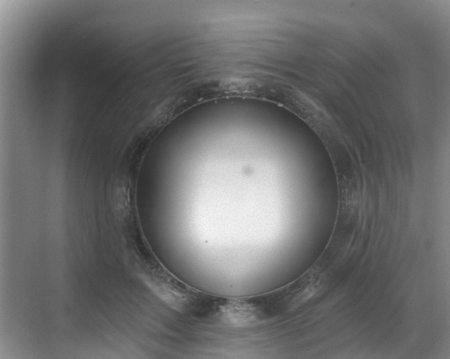 X0000068840603200605081241