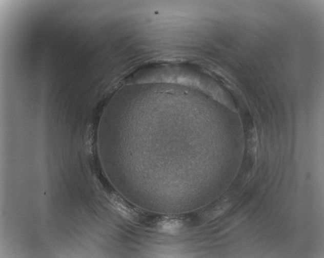 X0000068840604200605081241