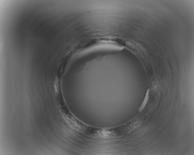 X0000068840607200605081241